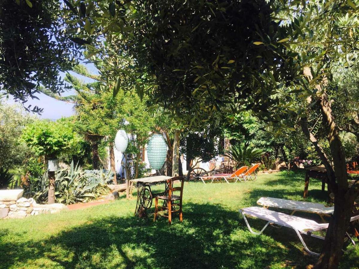 Damouchari Hotel Εξωτερικό φωτογραφία