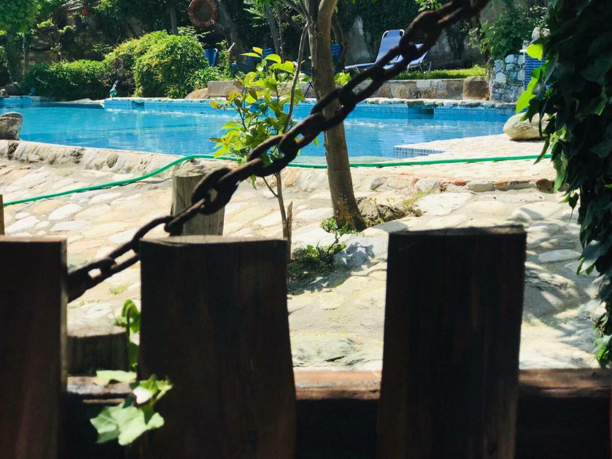 Damouchari Hotel Εξωτερικό φωτογραφία