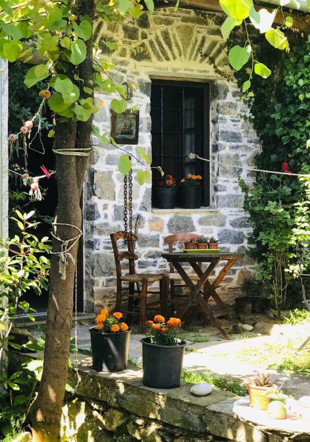 Damouchari Hotel Εξωτερικό φωτογραφία